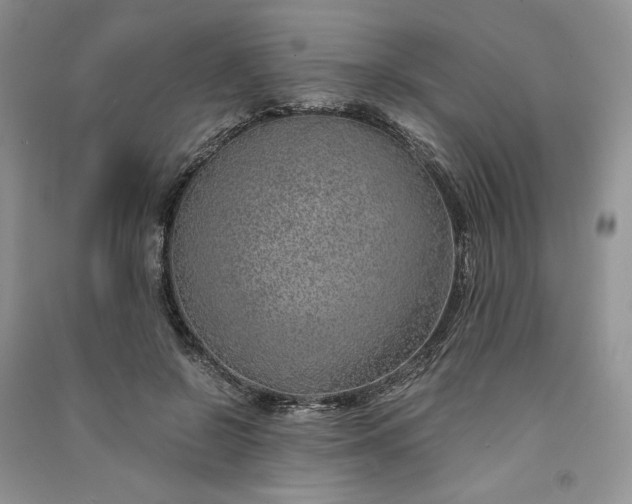 X0000090900550200708131354