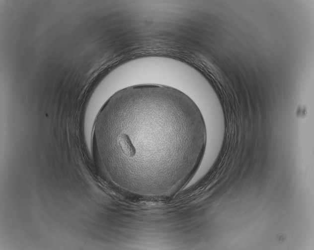 X0000090900552200708131354