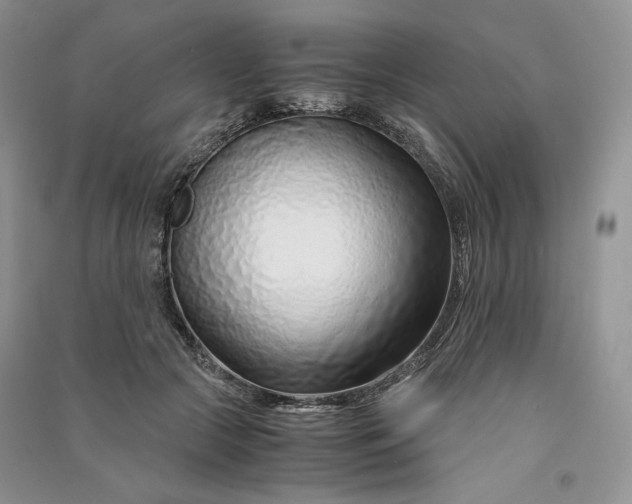 X0000090900553200708131354