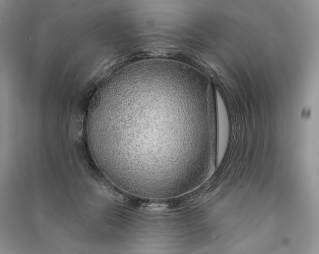 X0000090900554200708131354