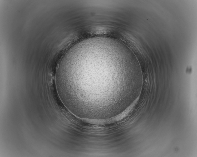 X0000090900555200708131354