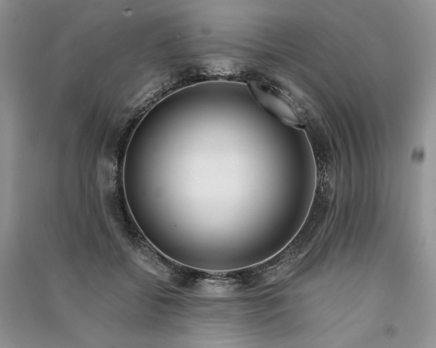 X0000090900556200708131354