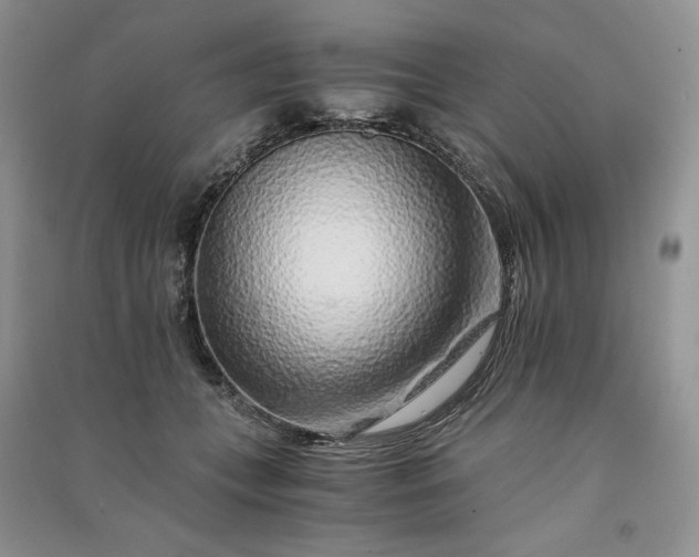 X0000090900559200708131354