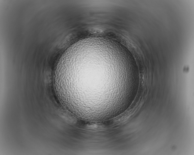 X0000090900561200708131354