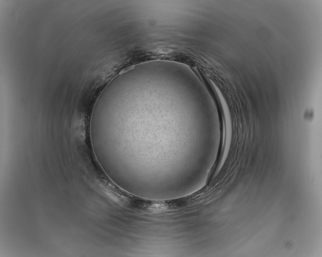 X0000090900562200708131354