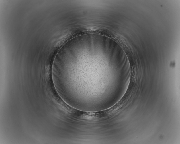X0000090900563200708131354
