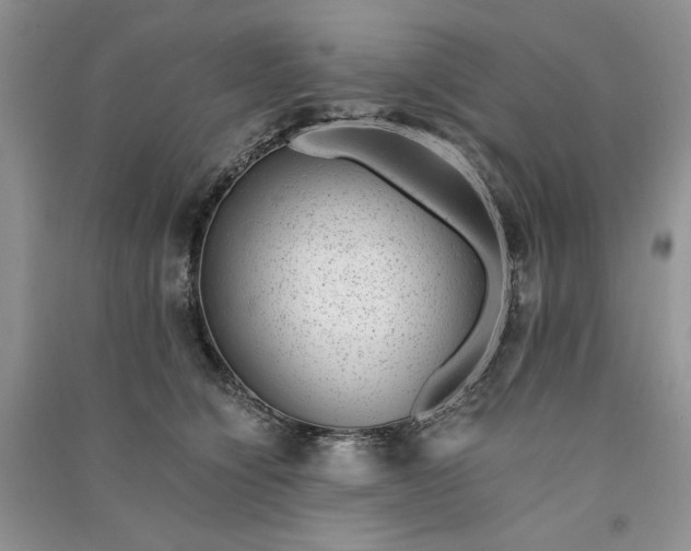 X0000090900564200708131354