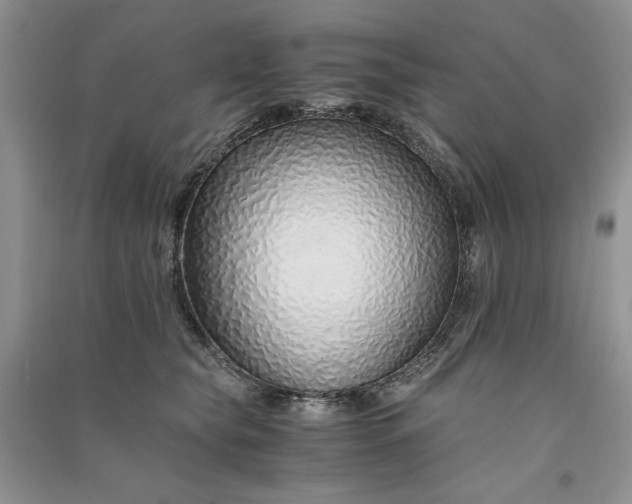 X0000090900565200708131354
