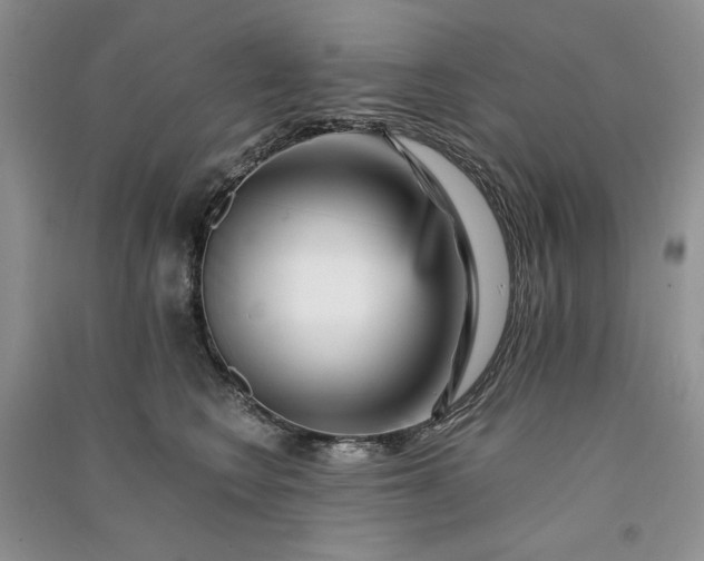 X0000090900566200708131355