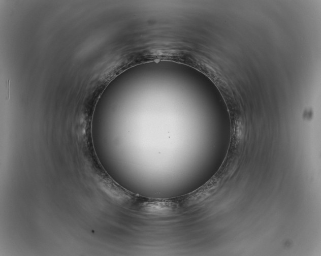 X0000090900567200708131355