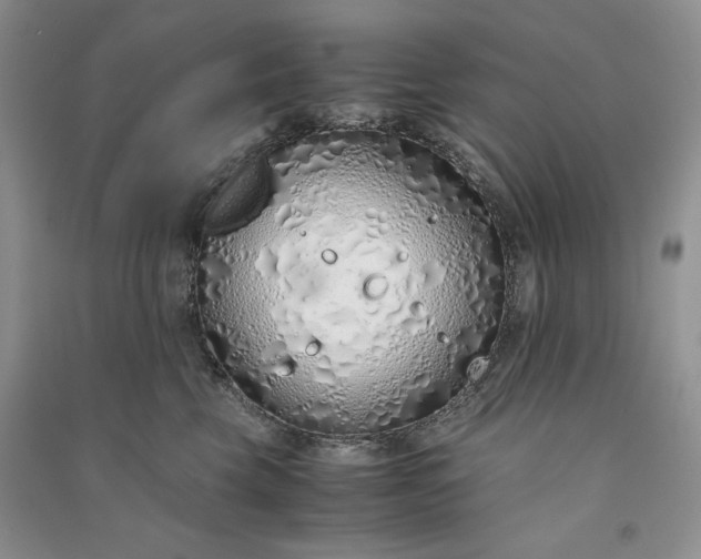 X0000090900569200708131355