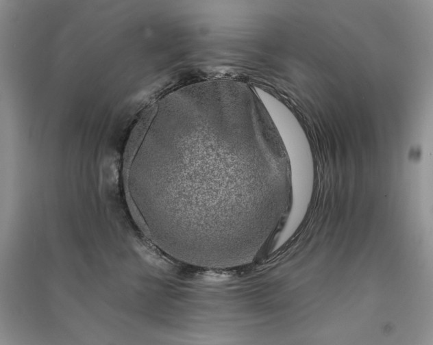 X0000090900570200708131355