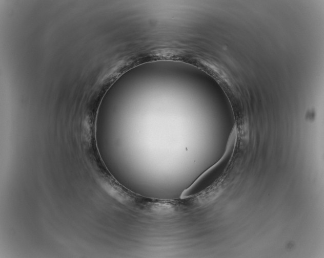 X0000090900572200708131355