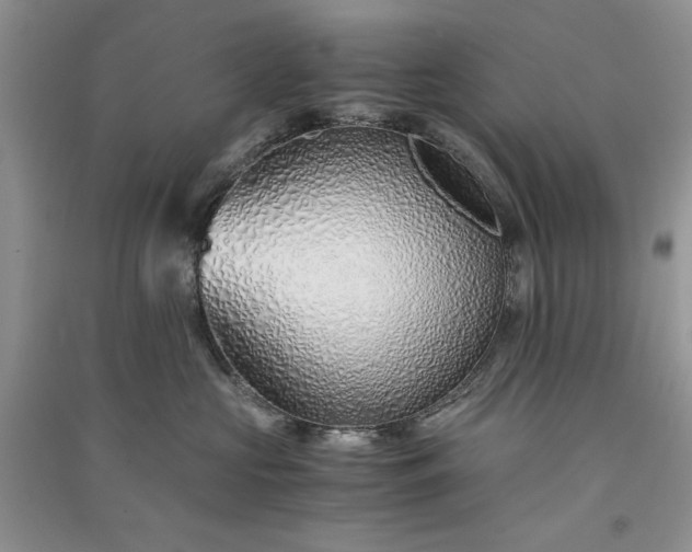 X0000090900573200708131355