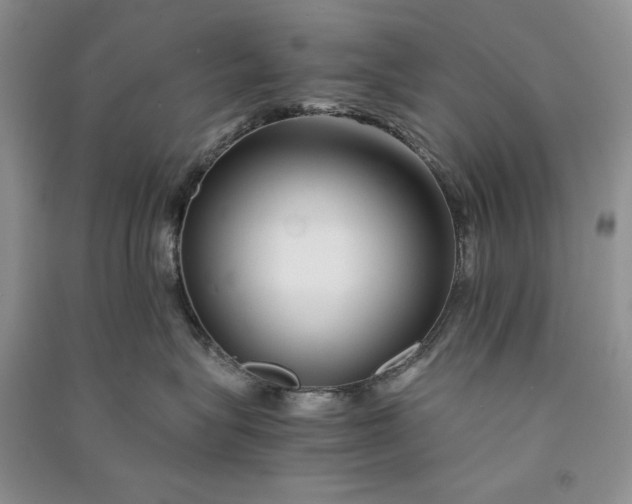 X0000090900575200708131355