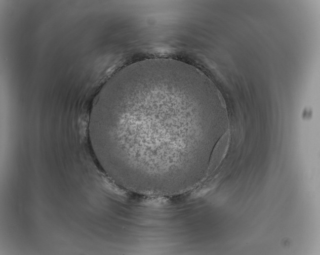 X0000090900576200708131355