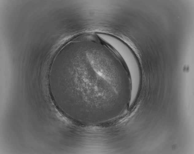 X0000090900577200708131354