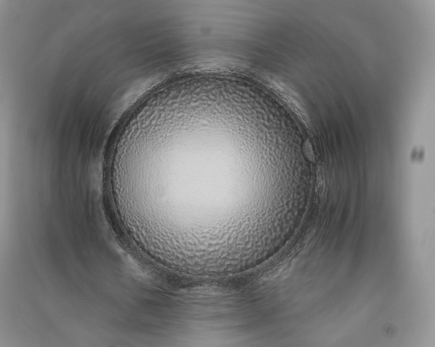 X0000090900578200708131354