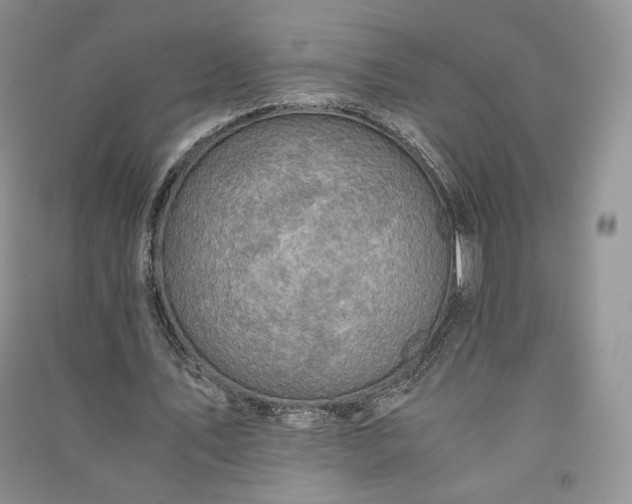 X0000090900579200708131354