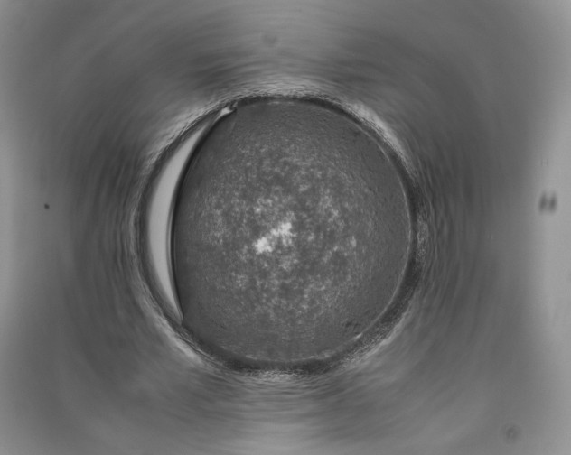 X0000090900581200708131354