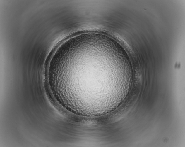 X0000090900582200708131354