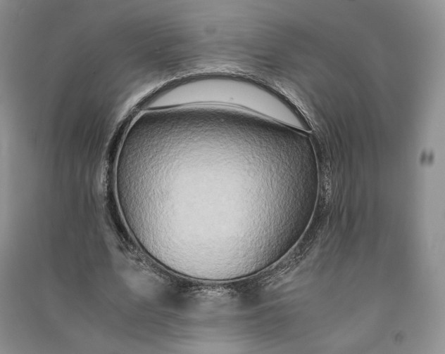 X0000090900583200708131354