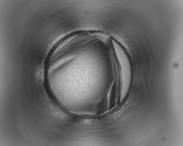 X0000090900584200708131354