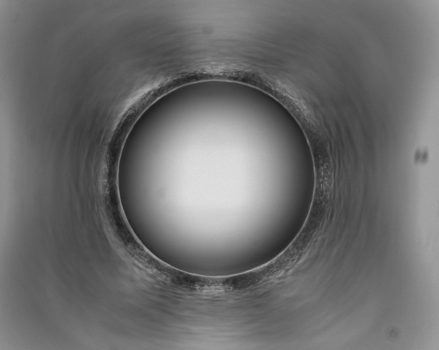 X0000090900587200708131354