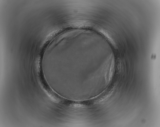 X0000090900590200708131354