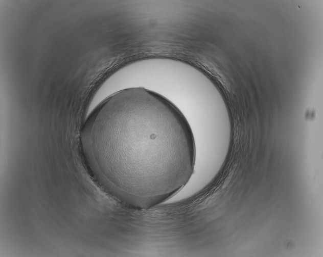 X0000090900593200708131354