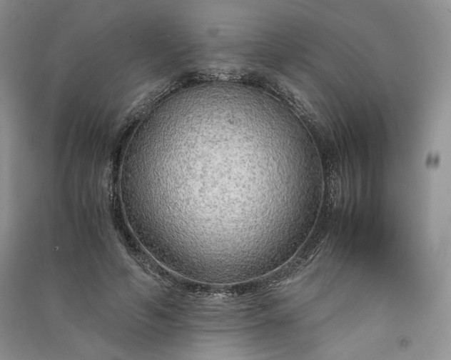 X0000090900594200708131354