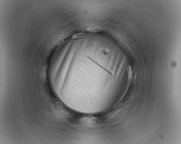 X0000090900595200708131354