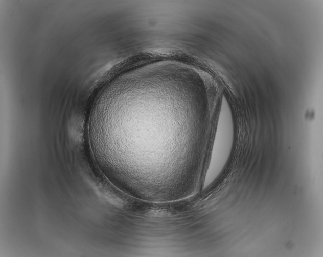 X0000090900596200708131354