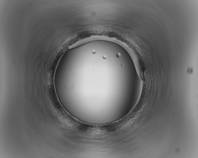 X0000090900597200708131354