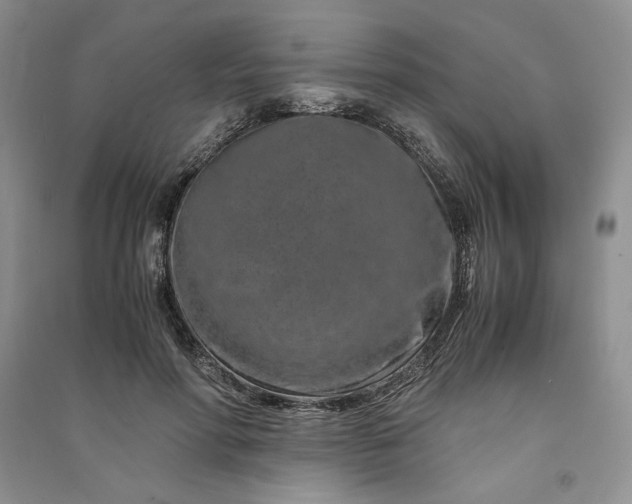 X0000090900598200708131354