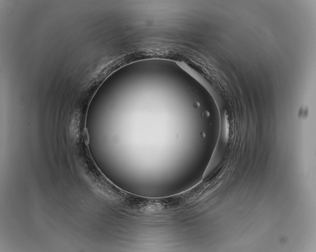 X0000090900600200708131354