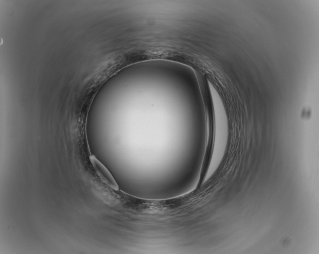 X0000090900601200708131354