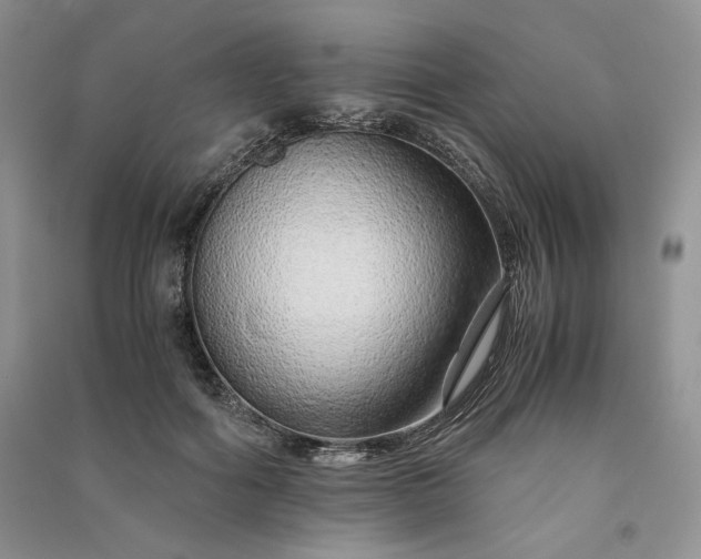 X0000090900602200708131354