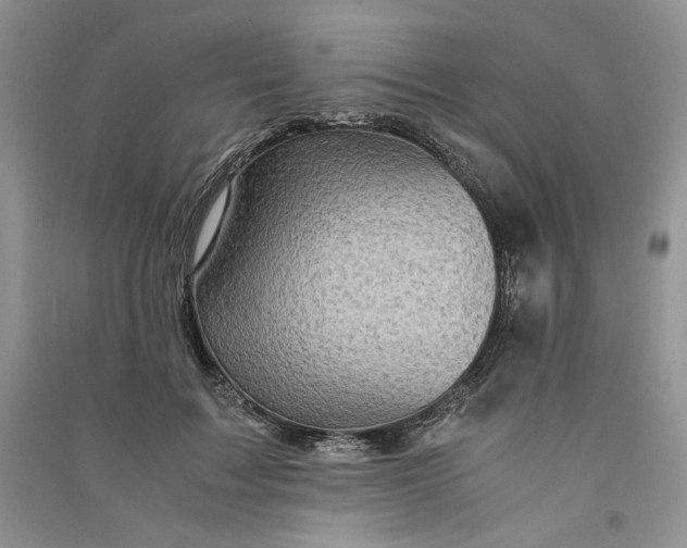 X0000090900603200708131354