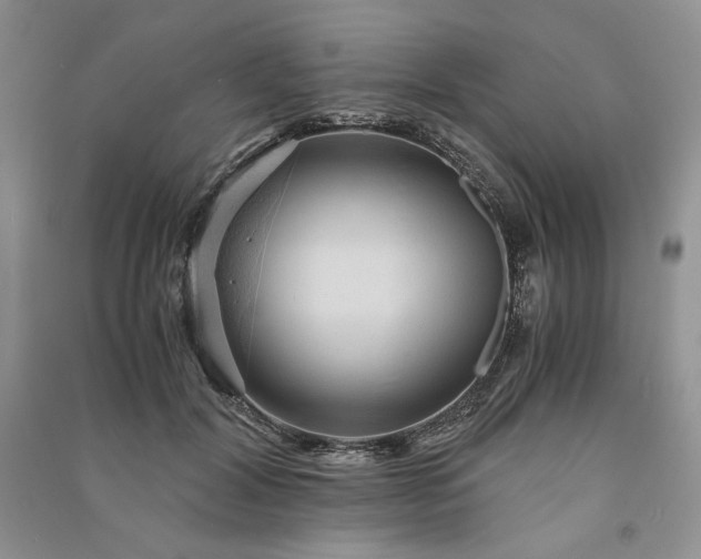 X0000090900604200708131354