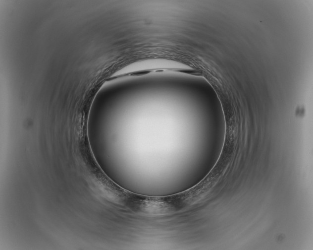 X0000090900605200708131354