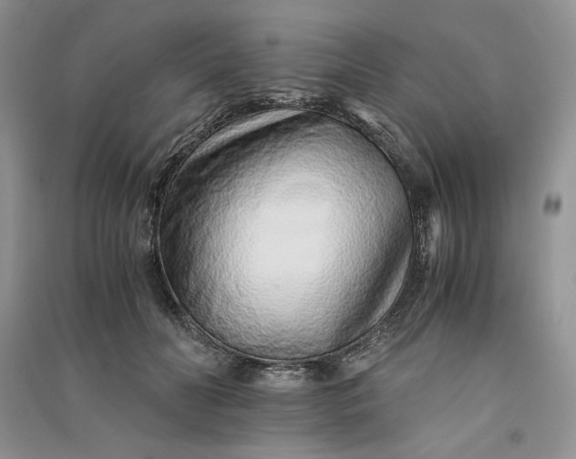 X0000090900606200708131353
