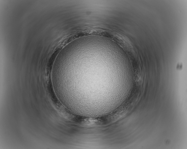 X0000090900607200708131353