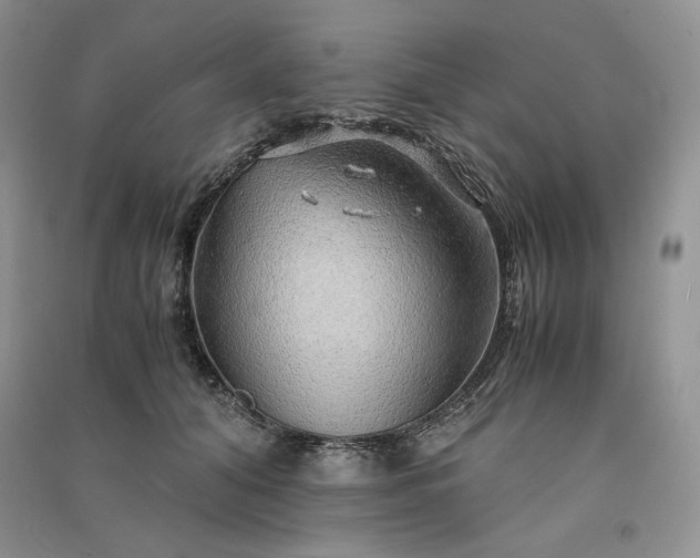 X0000090900608200708131353