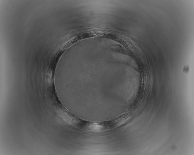 X0000090900610200708131353