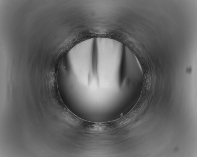 X0000090900612200708131353