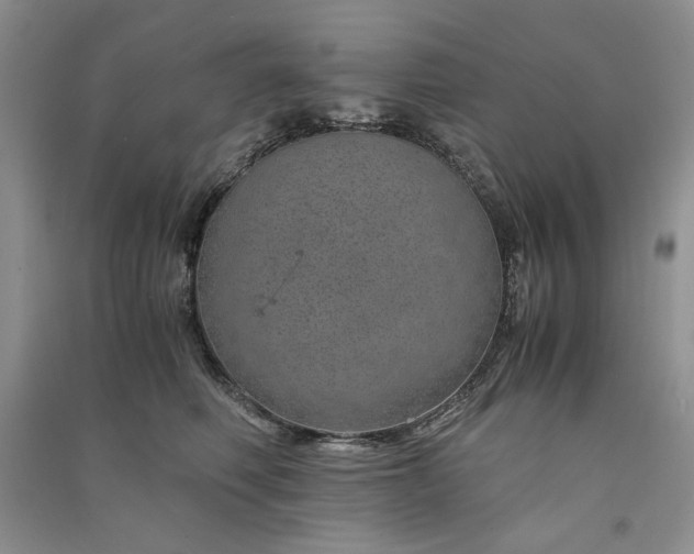 X0000090900614200708131353