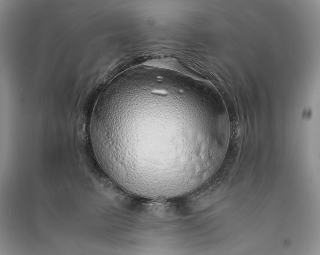 X0000090900615200708131353