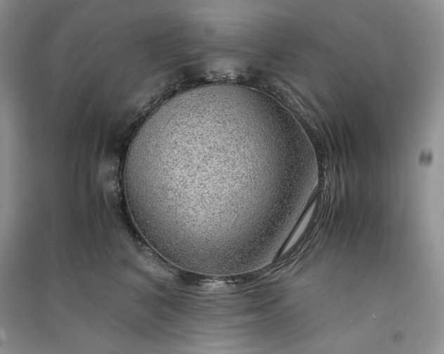X0000090900616200708131353