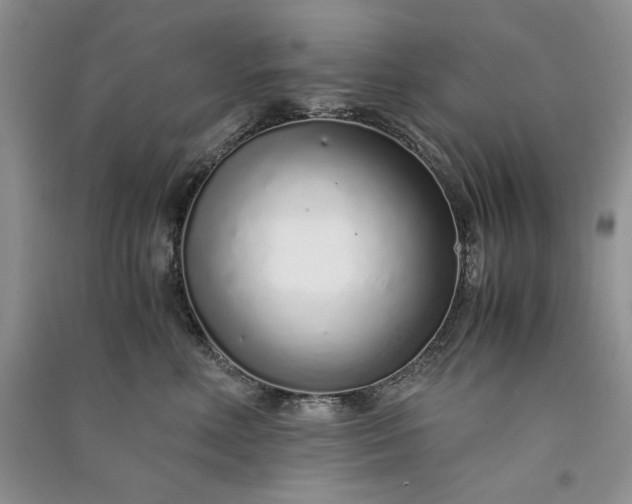 X0000090900618200708131353